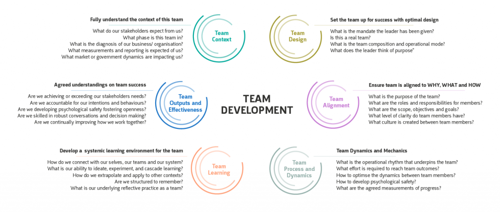 Top Team Development - The Leadership Context